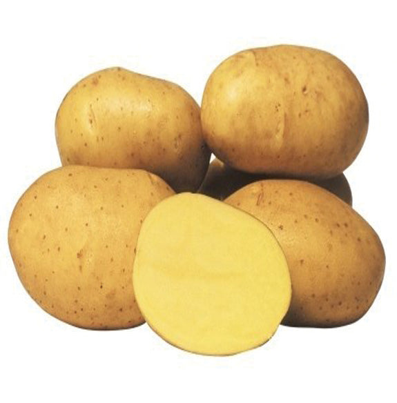 Batata Agria