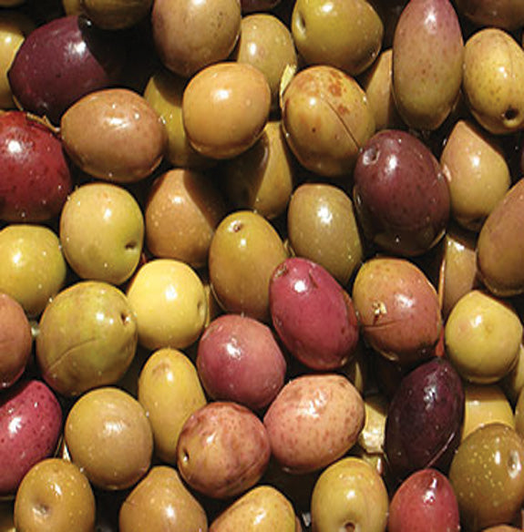 Azeitona Galega (Preço Kg)