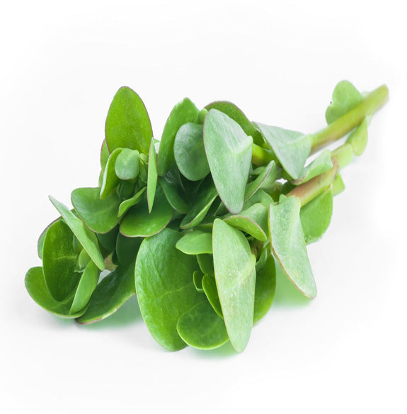 Beldroegas