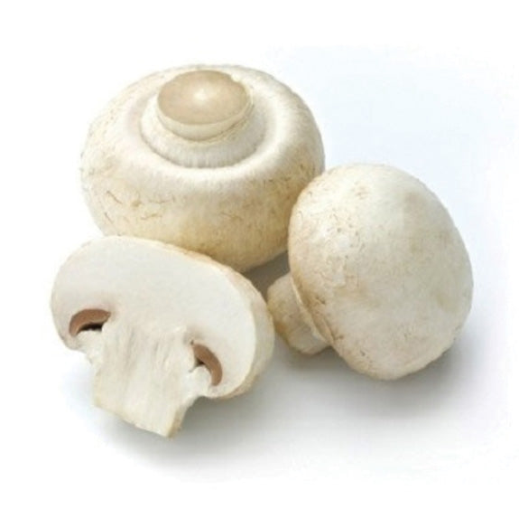 Cogumelos Brancos