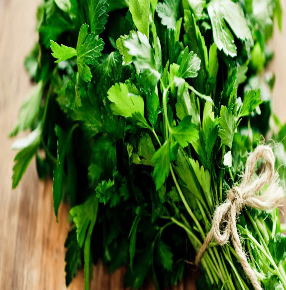 Salsa Molho inteiro