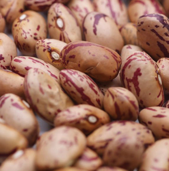 Legumes Secos