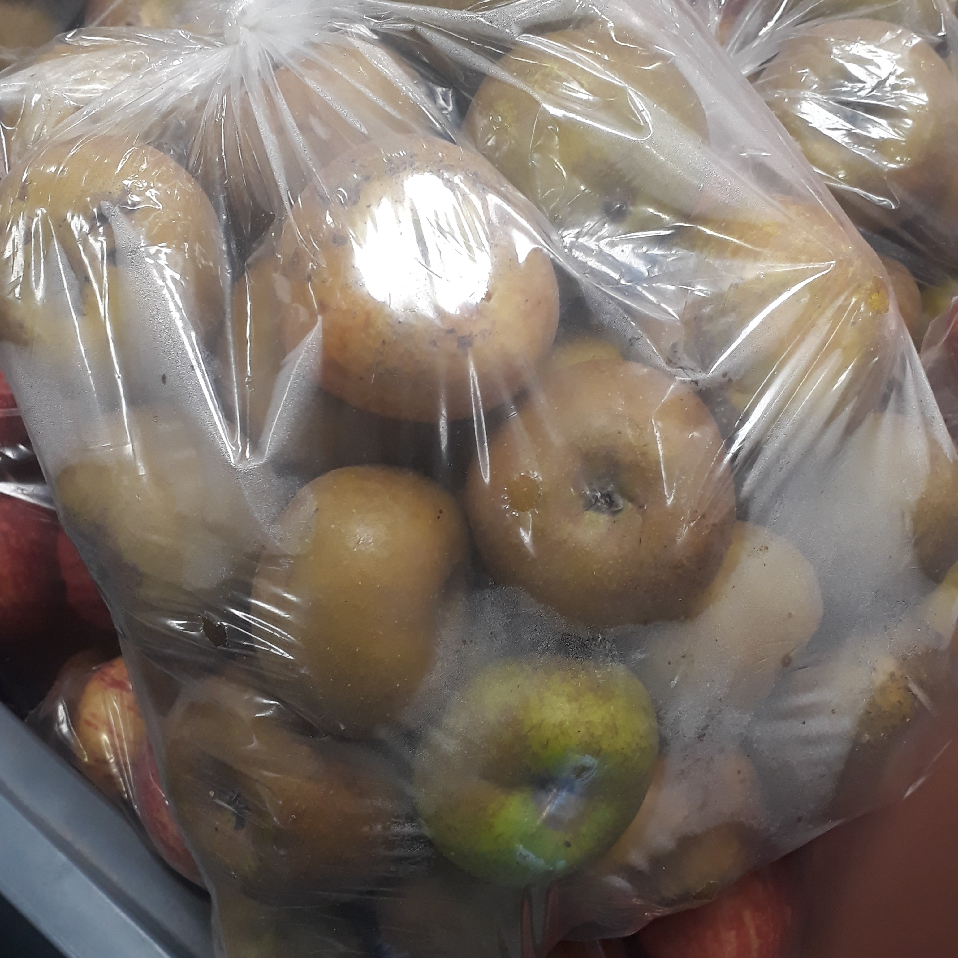 maça reineta embalada