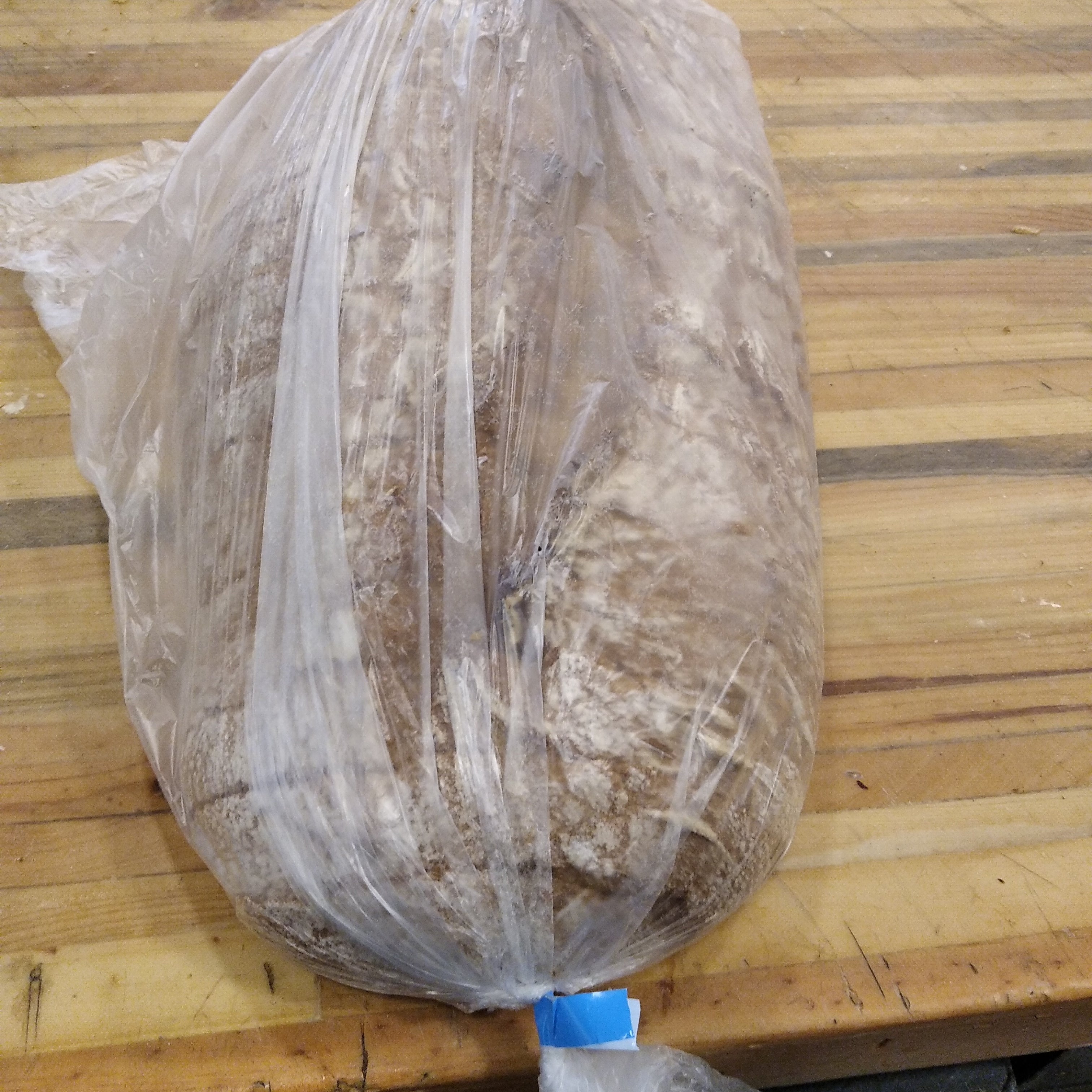 Pão da aldeia