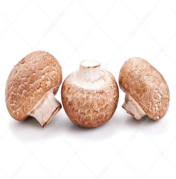 Cogumelos Marrom