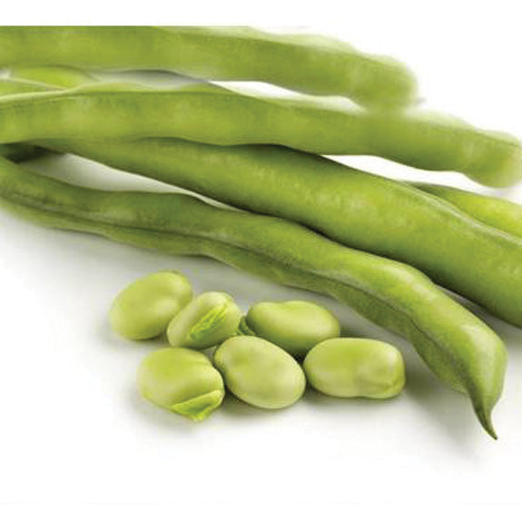 Favas