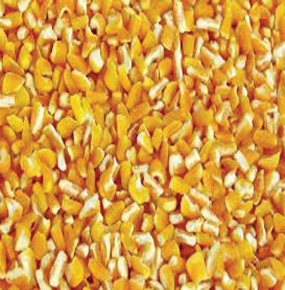 Milho amarelo