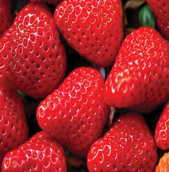 Morangos
