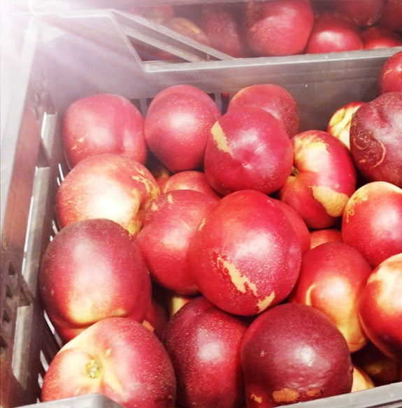 Nectarinas